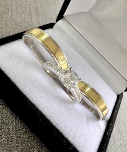Set Plata y Oro